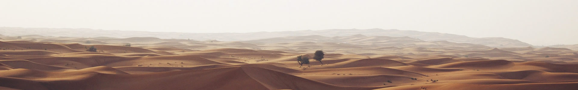 ǽƼ޹˾